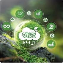 Carbon credit sustainability graphic