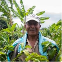 Farmer standing among green crops
